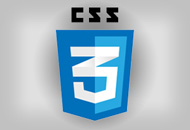 css3